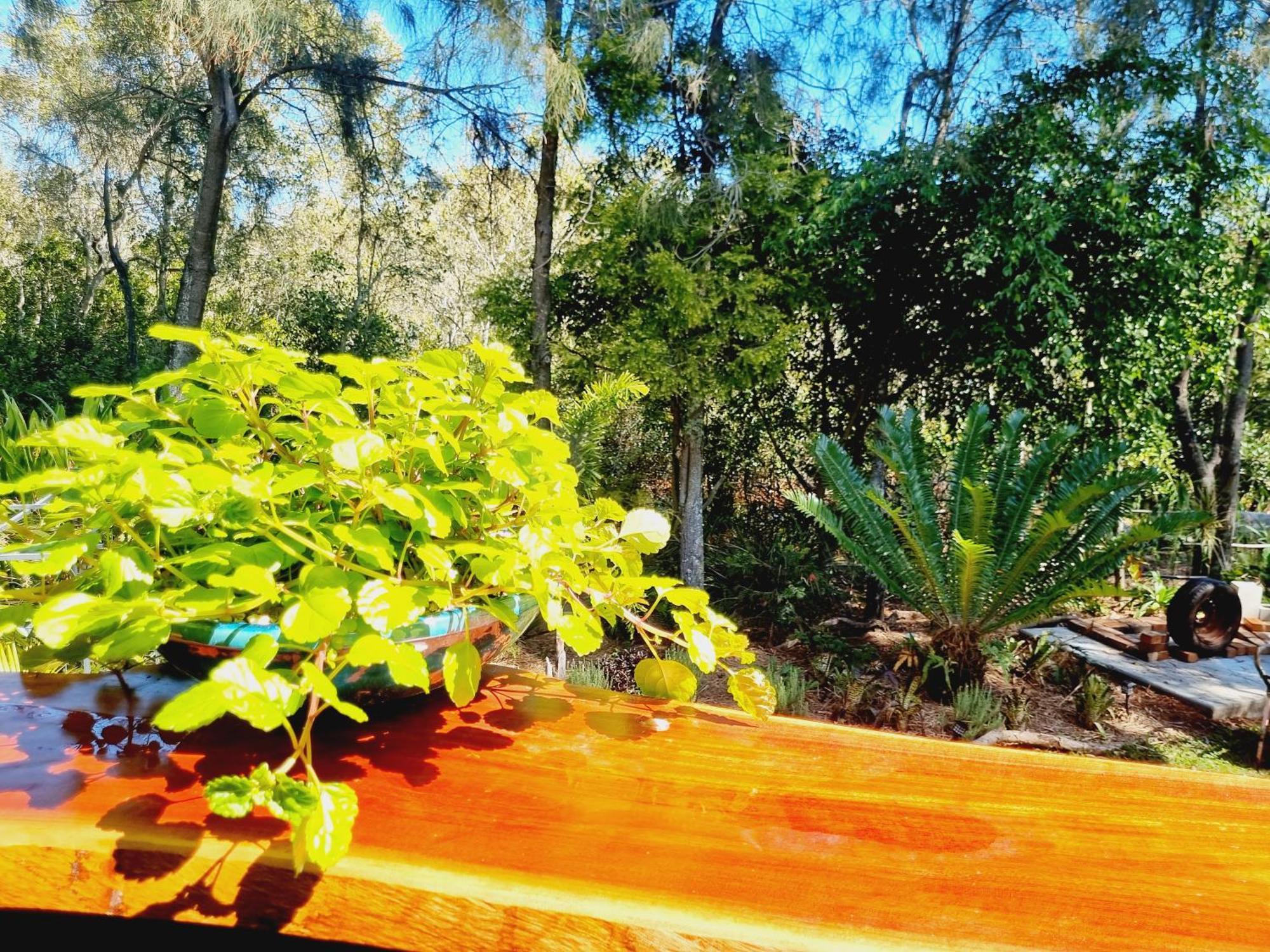 مبيت وإفطار Karragarra Island Birdsong Retreat - On Lamb Island المظهر الخارجي الصورة