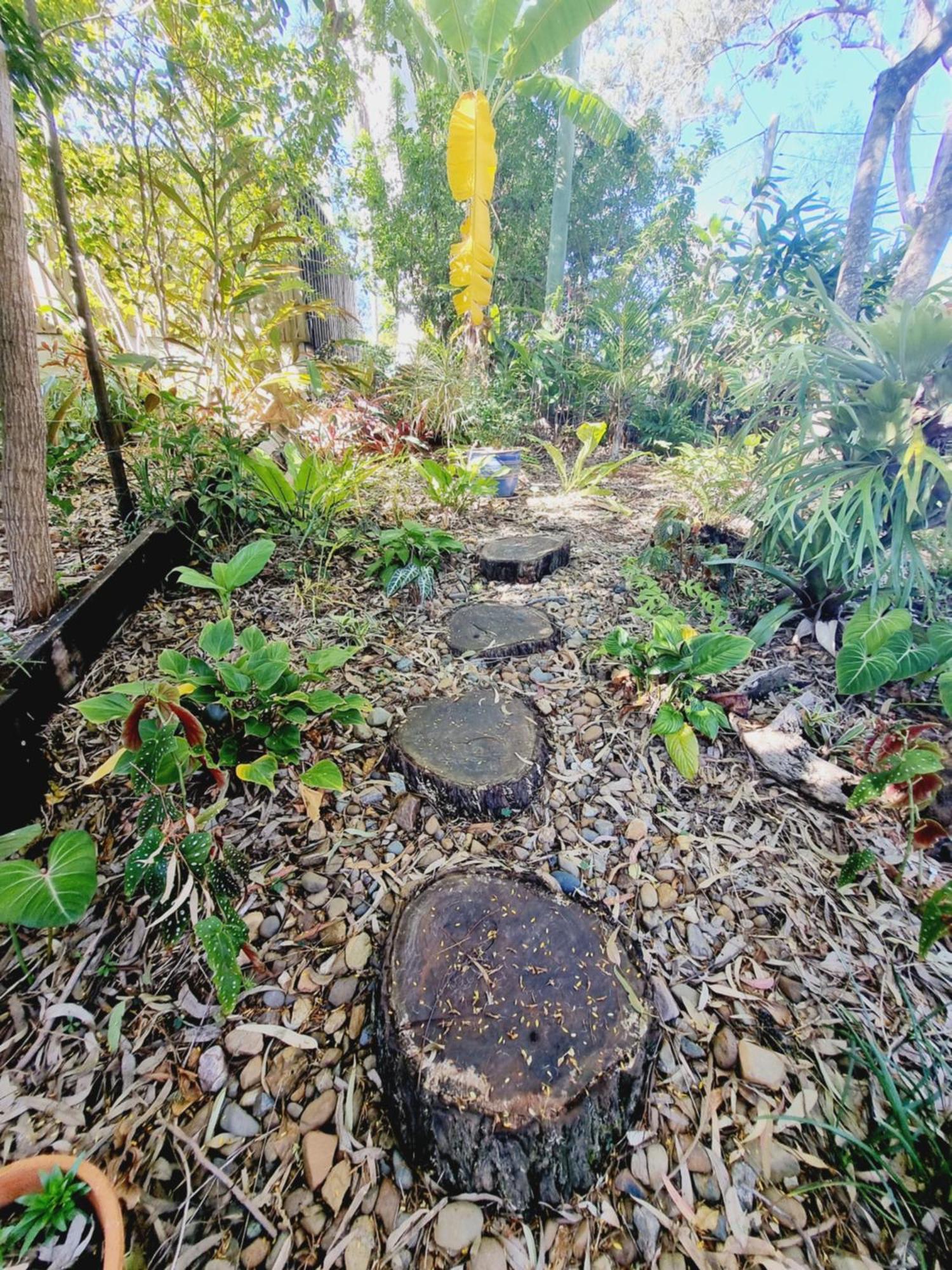 مبيت وإفطار Karragarra Island Birdsong Retreat - On Lamb Island المظهر الخارجي الصورة